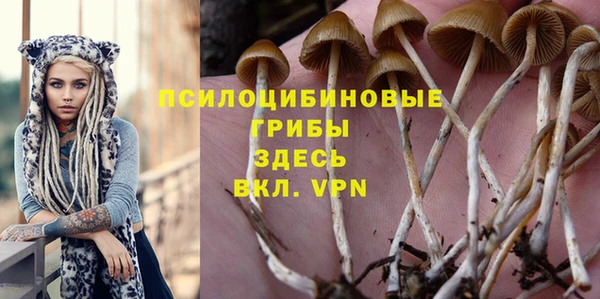 спайс Богородицк