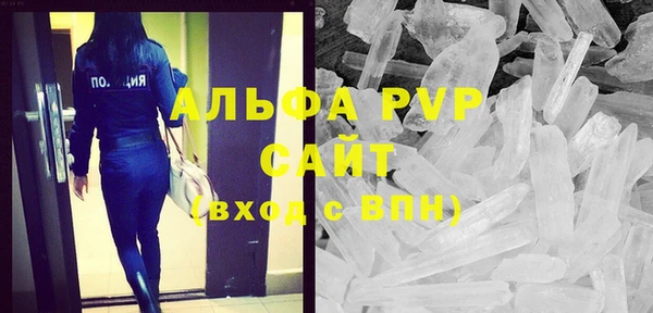 индика Алексин